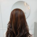 바비헤어 이미지