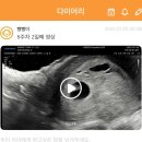 그린산부인과의원 이미지