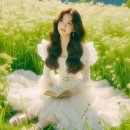 아침의 향기 - 이해인 이미지