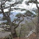 여기 굴봉산 이미지