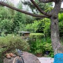 선운재