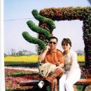 금산중앙초등학교 이미지