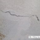 동삼1동-2 이미지