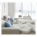 유성대로(유성-36) 이미지