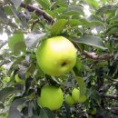 산직농장 이미지