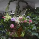 컨포지움 이미지