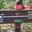 미락포차 이미지