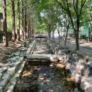 메타세쿼이어길 화장실 이미지