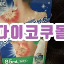 샤론코너 | 일본 물파스 샤론 물파스 드럭스토어 현지 인기?