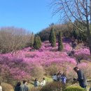 (주)쥬비스다이어트 강서점 이미지
