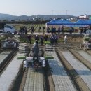 합천양파 이미지