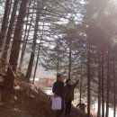 고로쇠펜션 이미지