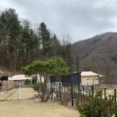 캠프위드펫&애견글램핑 이미지