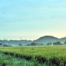 금남산업개발