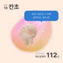 시즌아이PC방(신대방본점) | 초산모 임신일기 23-26주차 임당검사 문화센터 성심당 프리패스｜임신기간 중 제일 부지런했던 한달일상