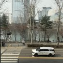 더마치헤어 이미지