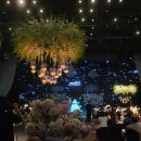 [W. 29 / 미디어아트] 대전 ICC 웨딩홀 미디어아트 예식 후기