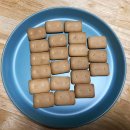 다솔 스테이 이미지