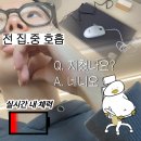 [퇴근후N] 누구나 할 수 있는 디지털드로잉 첫 걸음 | 마케팅 부트캠프/[디지털 마케터 취업 준비] 도와세움 디마에 90기 신청 방법부터 첫날 수업·팀 과제 후기