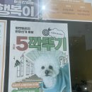 효진축산 이미지