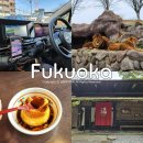 ㈜플러스원렌트카 | 후쿠오카 렌트카 비용 최저가 예약 근교 투어 가족여행 가볼만한곳