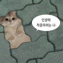 제발 얼른 가줘 ㅠㅠㅠㅠ 1분기