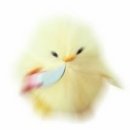 크리스피올리브 이미지