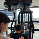 원 핏 아라 이미지