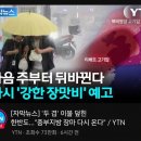 다음주 기상 예보 댓글창 이미지