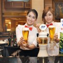 시크릿호프 이미지