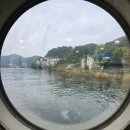 [강원도,춘천여행 2일차] 남이섬 애견동반 방문후기 [보더콜리]