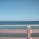 22사단 가는길 이미지