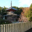 반도여관 이미지