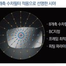 인디아컨설팅 이미지
