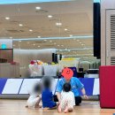 현대가요클럽 | 현대백화점 천호 트니트니 호빵맨 선생님 추천 후기(36개월 아기)