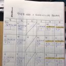 영교5 Daum카페