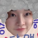 반앤파파 이미지
