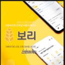보아스안과 티스토리