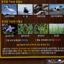 삼성디스플레이(주)천안캠퍼스 이미지