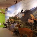 전북대학교자연사박물관 이미지