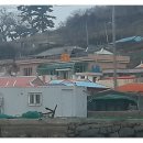 죠이민박 네이버블로그
