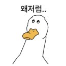 구리 토평 가족캠핑장 이미지