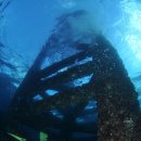 쌍정초등학교 이미지