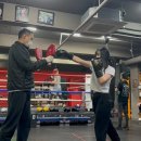 스타 | 강남복싱 홍수환 스타복싱 후기 I 킥복싱 입문 1개월 차 현실 기록