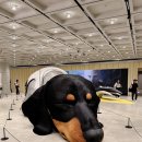 안경가게 이미지