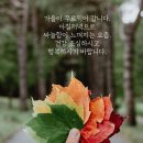 YH건강