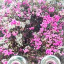 송현한의원 이미지