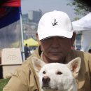 비호