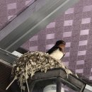 둥지2농장 이미지