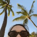 판교특공무술 | 추억여행 3월